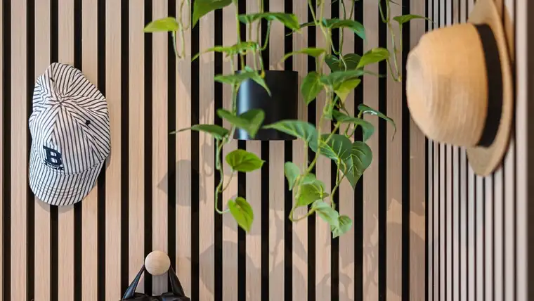 Striped baseball cap and straw hat hanging on a slatted wood wall with a plant