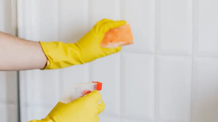 Gloved hands spraying cleaner and scrubbing white wall tiles and grout with a sponge
