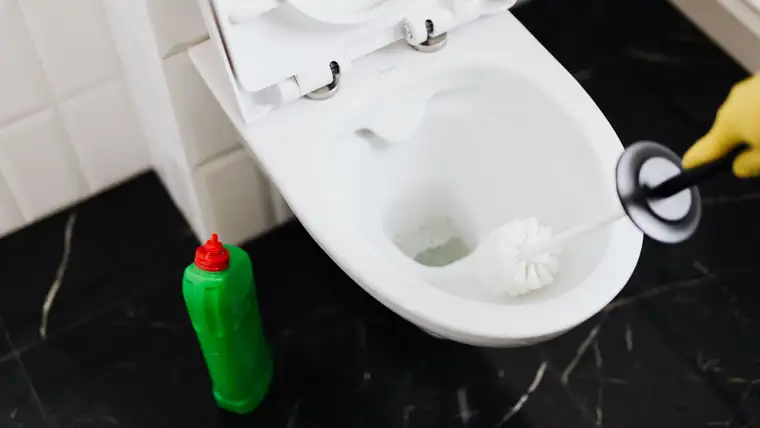 Gloved hand scrubbing a white toilet bowl with a brush beside cleaner