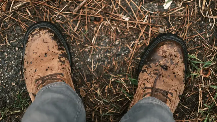 Mud-caked brown leather boots standing on a damp forest floor of pine needles