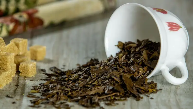 Tipped white teacup spilling loose black tea leaves beside sugar cubes on wood